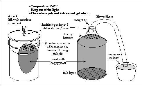 fermentation yeast beer hours water